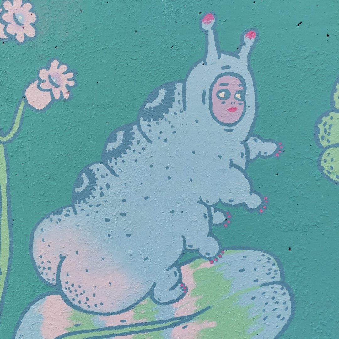 breda4
