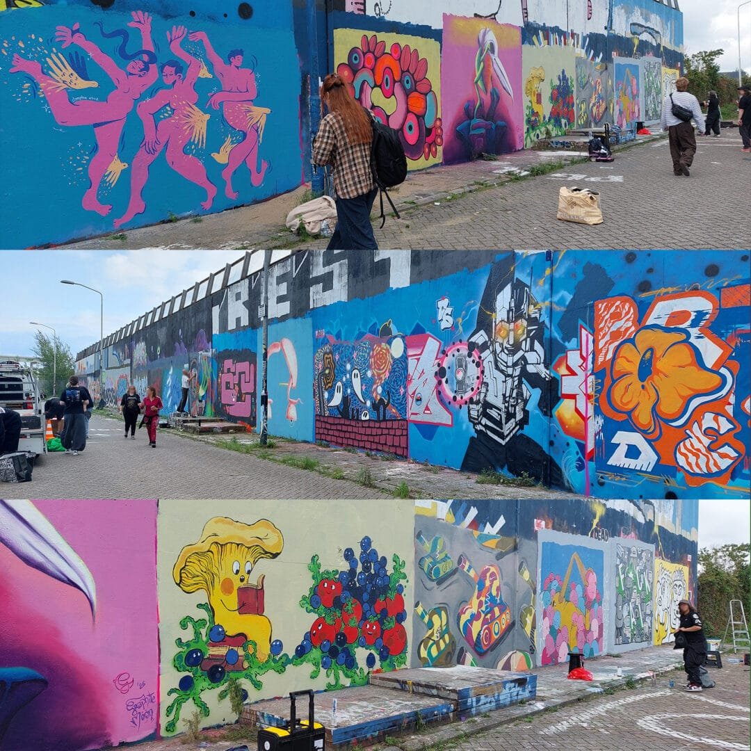 breda6