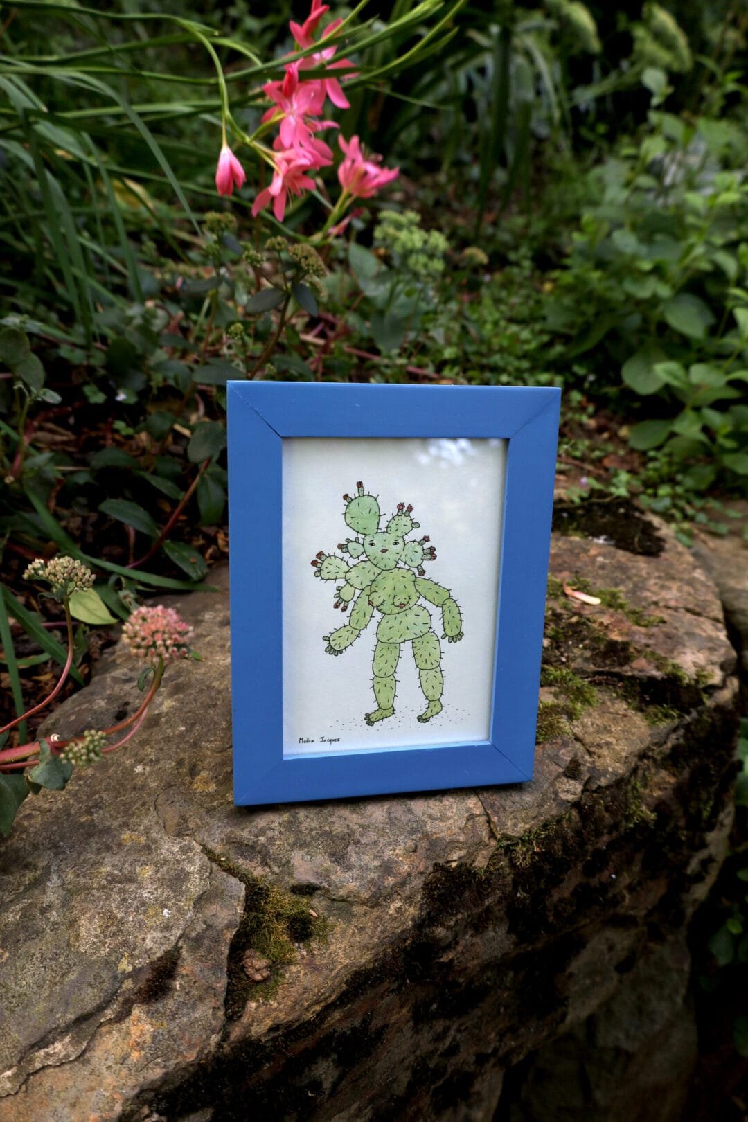 cactus 2